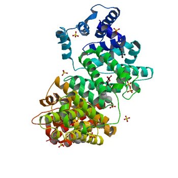 Crystal structure of Equine Serum Albumin complex with ibuprofen (6U4X)