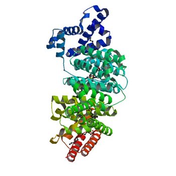 Crystal structure of Human Serum Albumin complex with JMS-053 (6WUW)