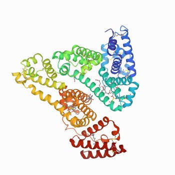 Crystal structure of Human Serum Albumin in complex with ketoprofen (7JWN)