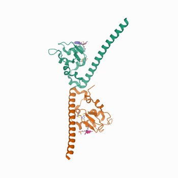 Crystal structure of human Survivin bound to histone H3 T3phK4me1 peptide (7LBO)