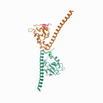 Crystal structure of human Survivin bound to histone H3T3phK4ac peptide (7LBP)