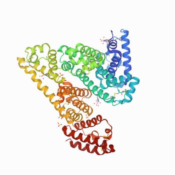 Crystal structure of Equine Serum Albumin in complex with Cobalt (II) (7MBL)