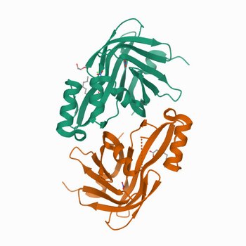 Crystal Structure of Nanoluc Luciferase Mutant R164Q (7MJB)