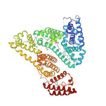 Human Serum Albumin with Cobalt (II) and Myristic Acid - crystal 1 (8EW4)