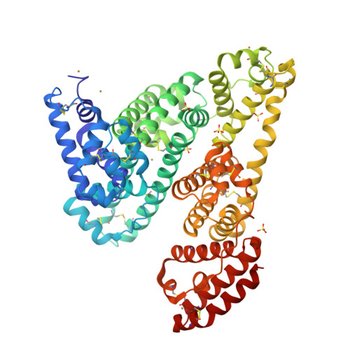 Equine Serum Albumin with Copper(II) (9ZMD)